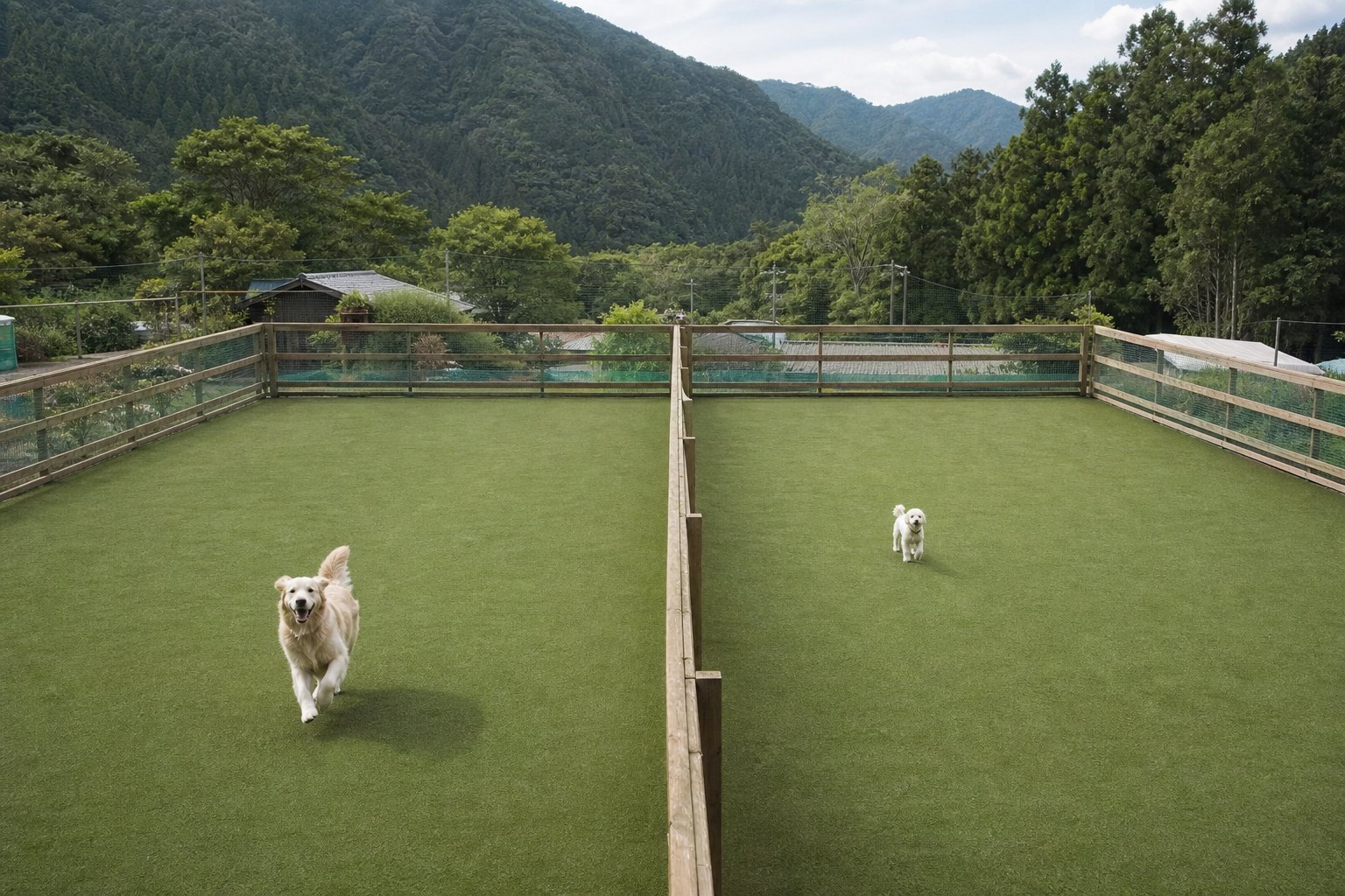 大型犬・小型犬別のドッグラン